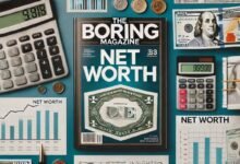 Net Worth The Boring Magazine