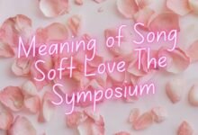 meaning of song soft love the symposium